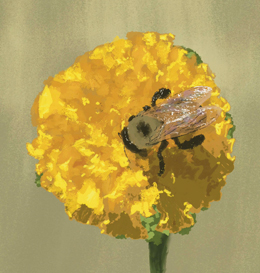 260x273-BAKER-STREET.jpg?Revision=Fvl&Timestamp=j0QMtG