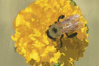 THIRD THURSDAY TUNES - 3 Local Bands